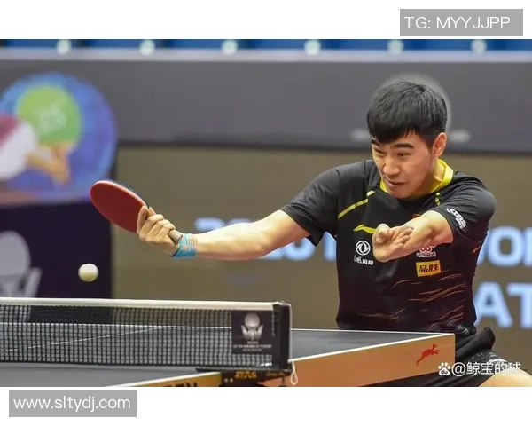闫安与樊振东巅峰对决谁能在乒乓球赛场上书写新的传奇篇章